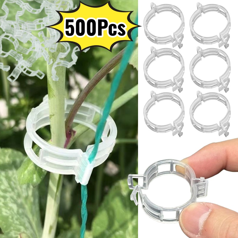 Vine Climbing Plastic - 500 Pezzi Clip di Supporto in