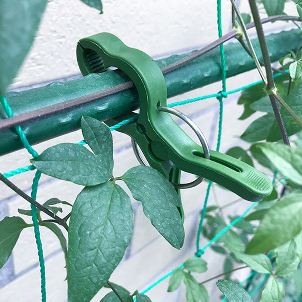 Vine Climbing Plastic - 60 Pezzi Clip per Piante da