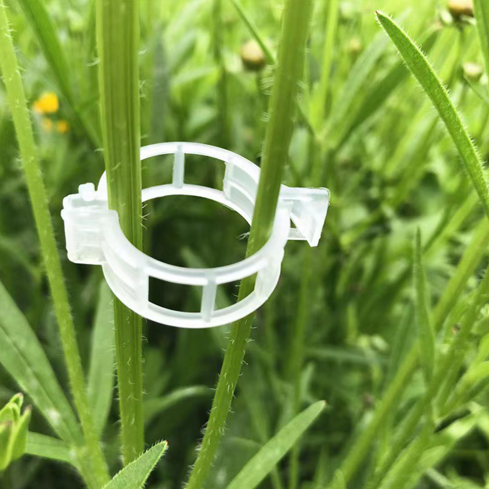 Vine Climbing Plastic - Clip in Plastica Sicure per Piante,