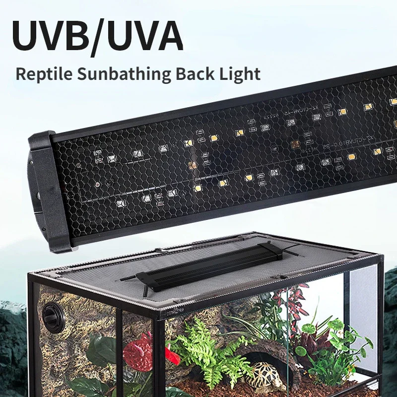 Lampada UV a LED a spettro com - Calcium Powder Reptile recensione e prezzo