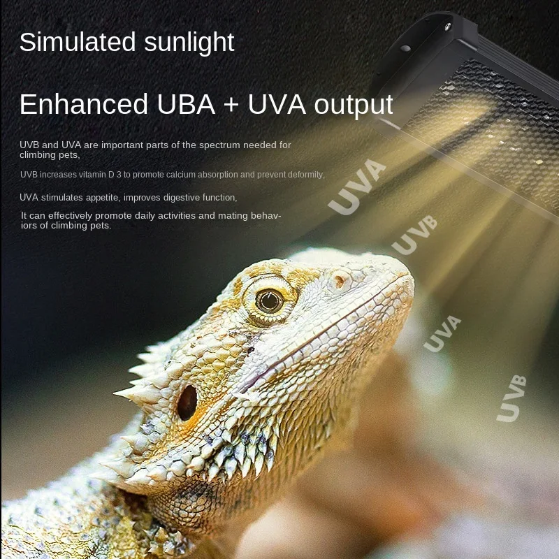 Lampada UV a LED a spettro com - Calcium Powder Reptile recensione e prezzo