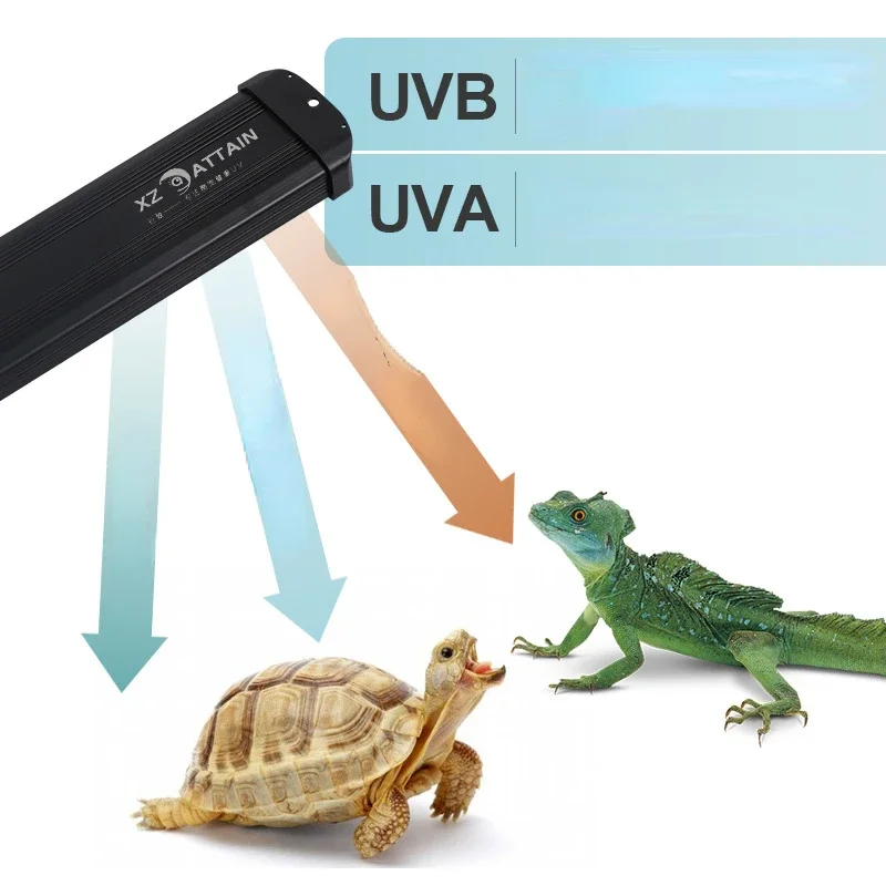 Lampada UV a LED a spettro com - Calcium Powder Reptile recensione e prezzo