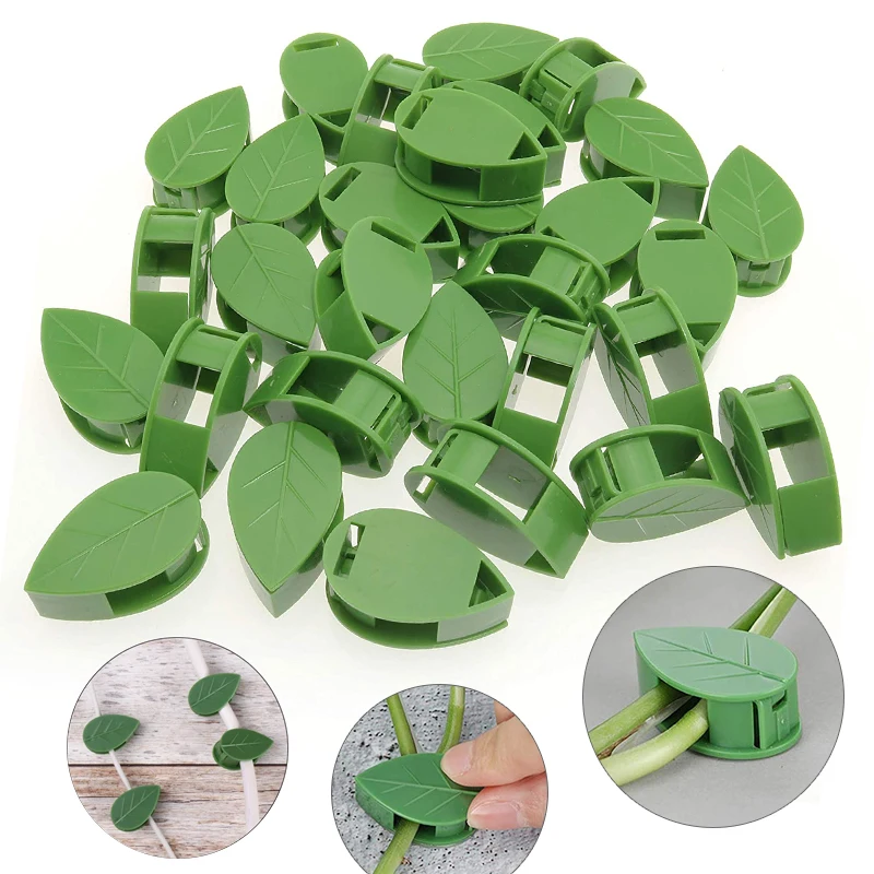 1-50 pezzi dispositivo per arr - Vine Climbing Plastic recensione e prezzo