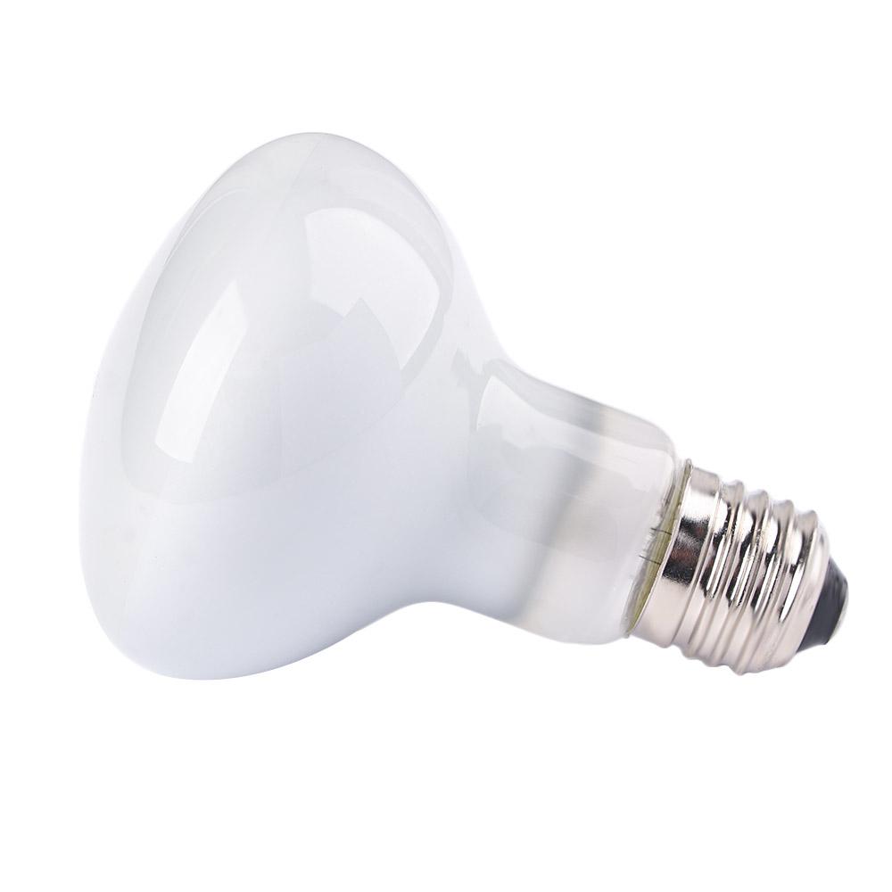 Lampada Riscaldante per Anfibi - Basking Bulb Halogen recensione e prezzo