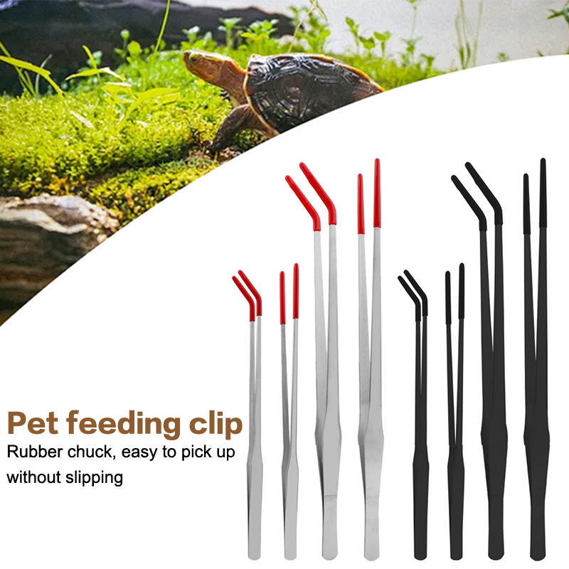 Strumenti per la Manutenzione  - Feeding Tong Stainless recensione e prezzo