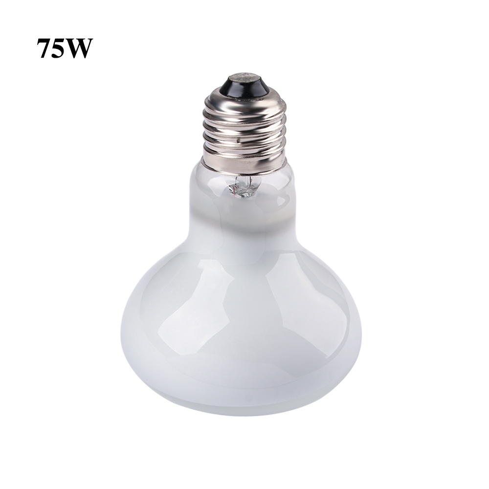 Lampada Riscaldante per Tartar - Basking Bulb Halogen recensione e prezzo