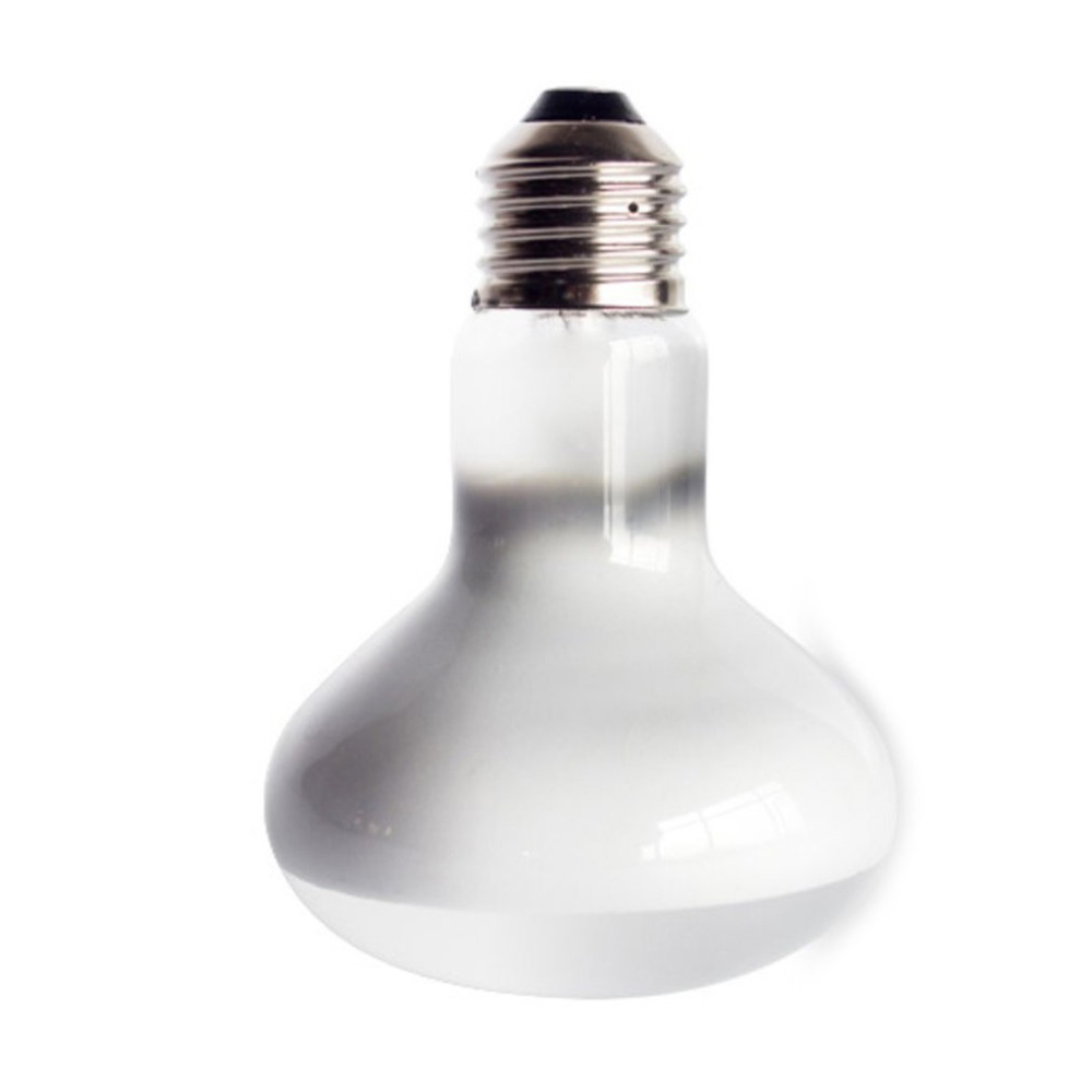 Lampada Riscaldante per Tartar - Basking Bulb Halogen recensione e prezzo
