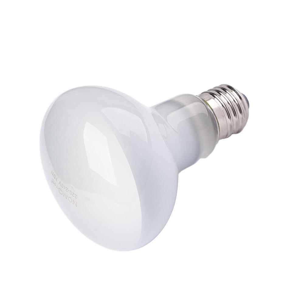 Regolatore di Temperatura per  - Basking Bulb Halogen recensione e prezzo