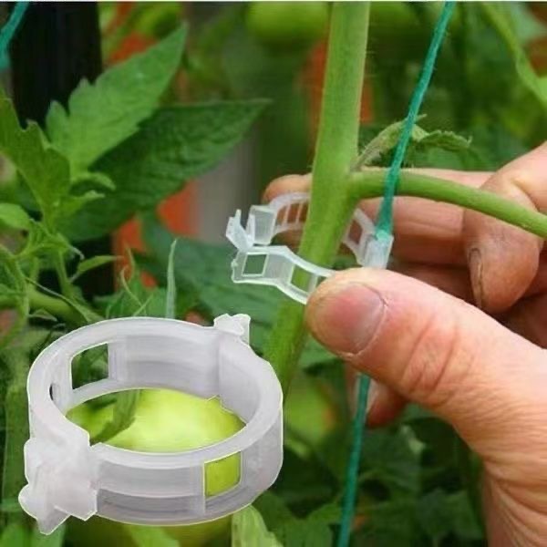 500 Pezzi Clip di Supporto in  - Vine Climbing Plastic recensione e prezzo