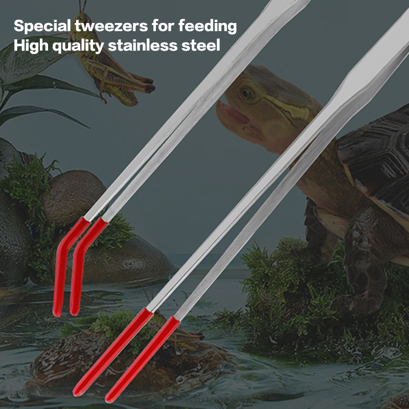 Pinze per rettili in acciaio i - Feeding Tong Stainless recensione e prezzo
