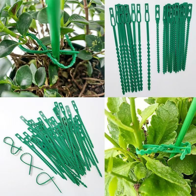 Fascette per Piante Riutilizza - Vine Climbing Plastic recensione e prezzo